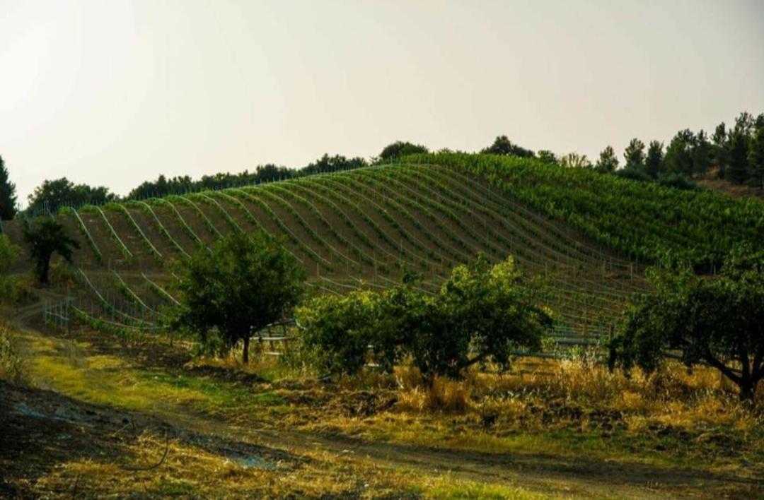 Agriturismo Feudo Tudia Landro Екстериор снимка